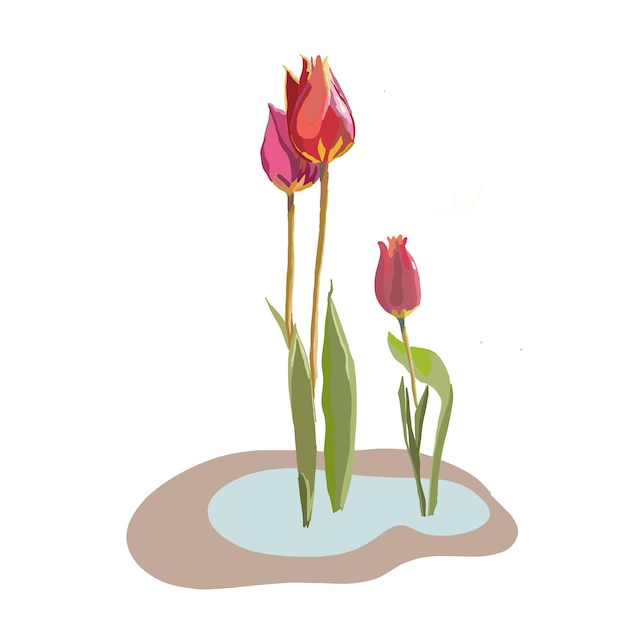flores de um vetor de tulipa florescendo