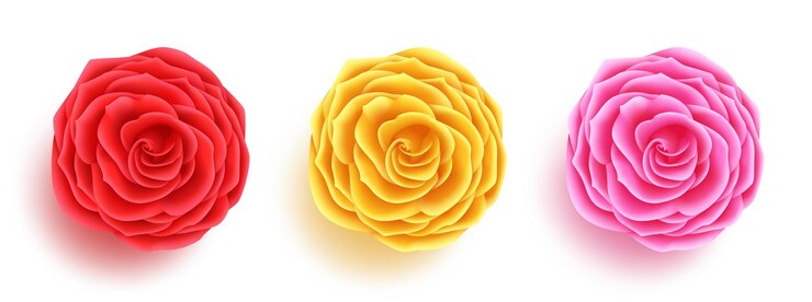 Vetor flores definir design de plano de fundo vector. coleção de flores rosa e camélia isolada.