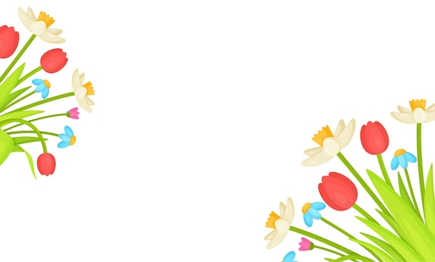 Flores Do Fundo. ilustração de um banner de flor. Tulipas na ilustração rosa do fonógrafo.