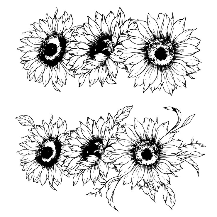 Vetor flores-do-sol desenho de linha esboço ilustração de flores-do- sol desenhado à mão flores- do- sol silhueta monocromática