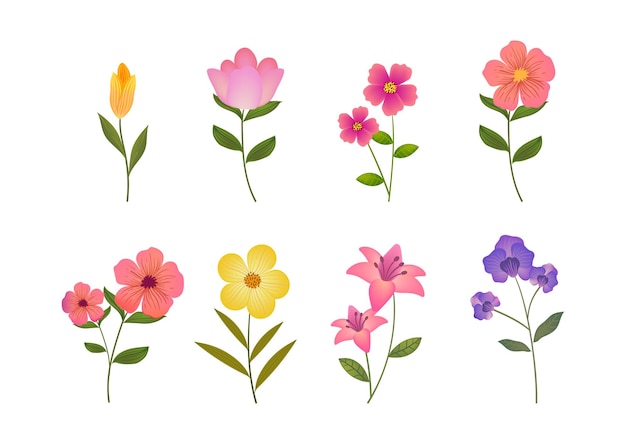 Flores e plantas coloridas da primavera, ramos de flores silvestres, ilustração vetorial desenhada à mão