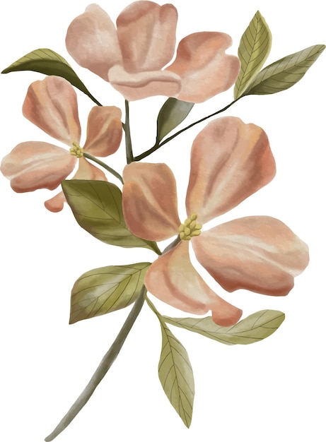 Vetor flores em aquarela ilustração em aquarela de flores um buquê de flores um galho com flores