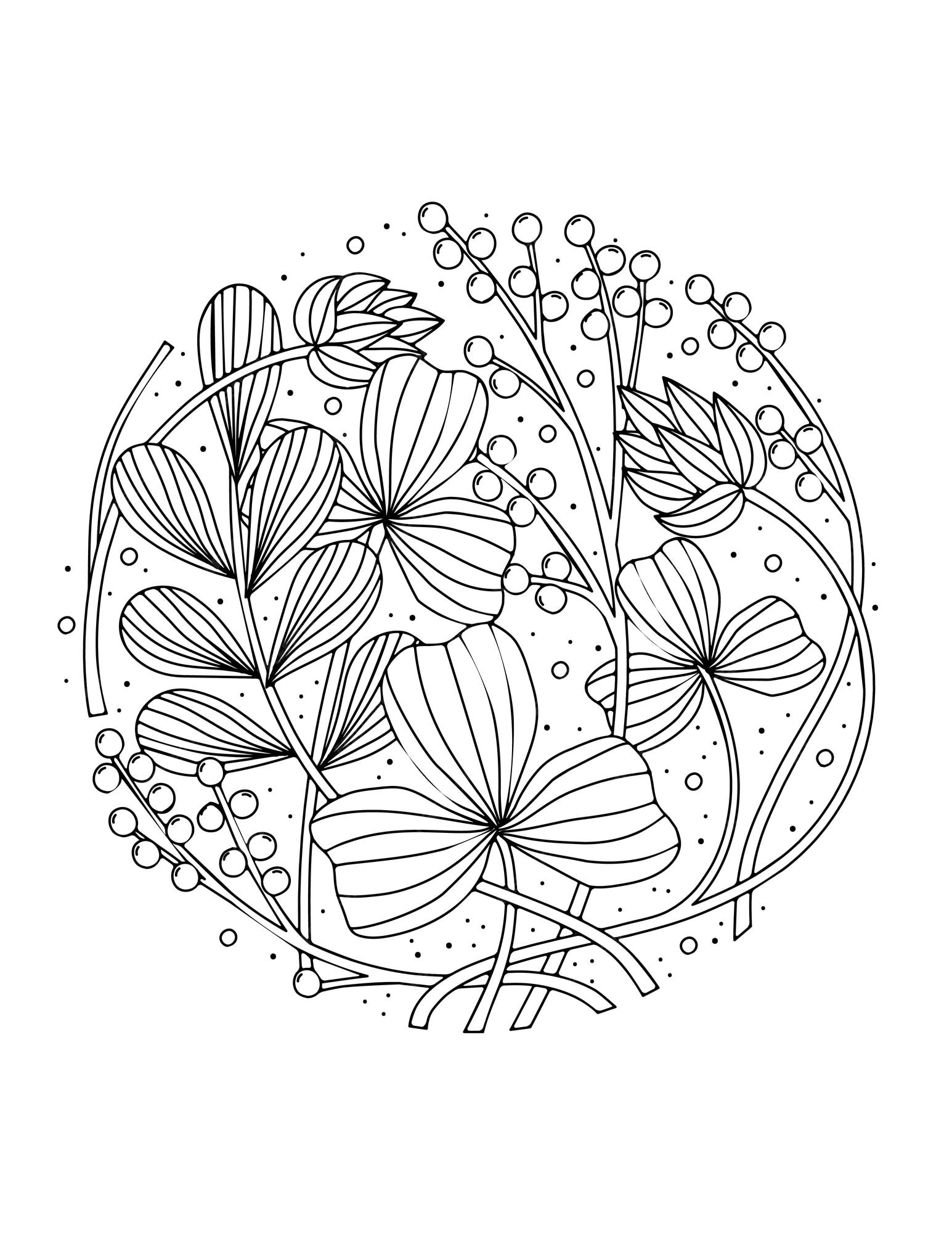 floral, flores de mandala de aster desenhadas à mão em estilo doodle  isolado no fundo branco. página para colorir para adultos e crianças,  decorando a sala de jogos para crianças ou cartão de felicitações.  crisântemo, lótus. 11192622 Vetor no Vecteezy