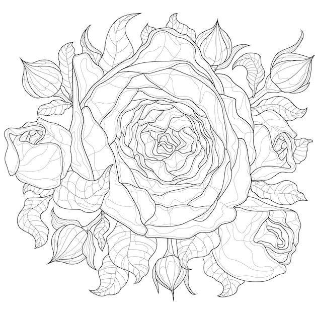 Flores rosa. Livro anti-stress para colorir para crianças e adultos. Estilo zen emaranhado. Desenho em preto e branco