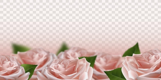 Flores rosas 3d rosa realistas em fundo transparente ilustração vetorial