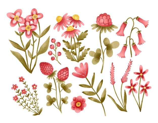 Flores selvagens coleção desenhada à mão ervas plantas com flores bl