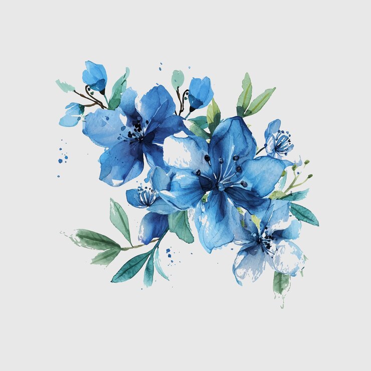 Flores selvagens ervas vetoras plantas com flores herbáceas flores com flores isoladas em fundo branco