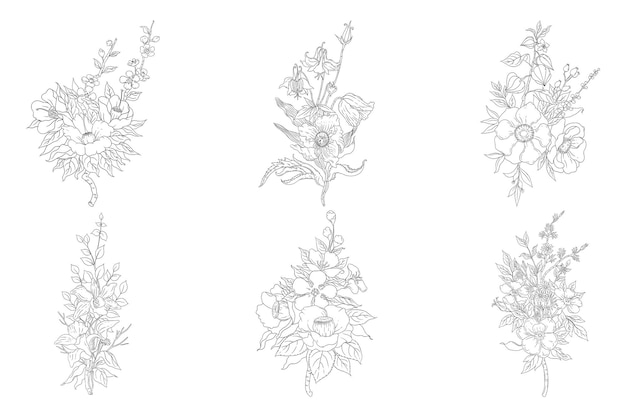 Flores silvestres e ervas à moda ilustração botânica ilustração vetorial floral decorativa