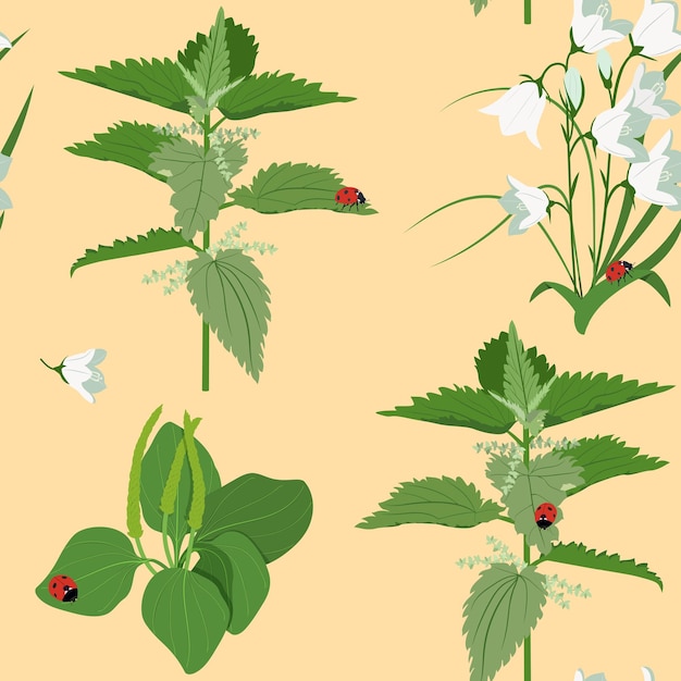 Flores silvestres e joaninha em um fundo bege ilustração vetorial de verão