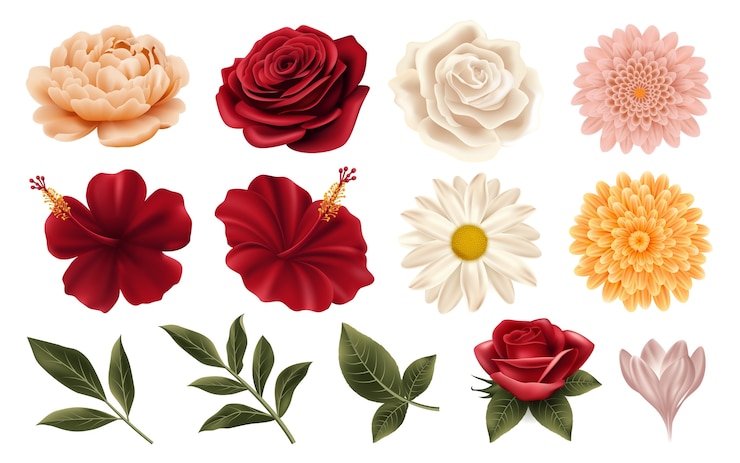Vetor flores vintage dispostas em estilo realista