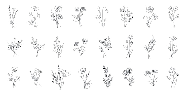 flores