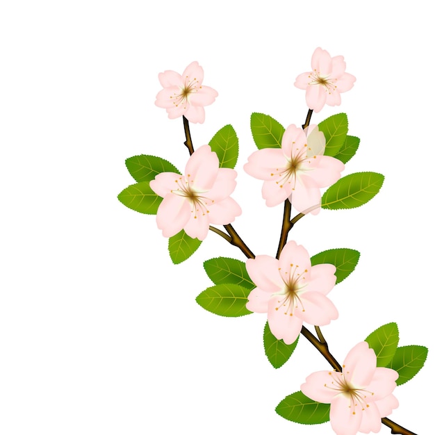 Florescendo vetor de ramo com flor de primavera rosa.