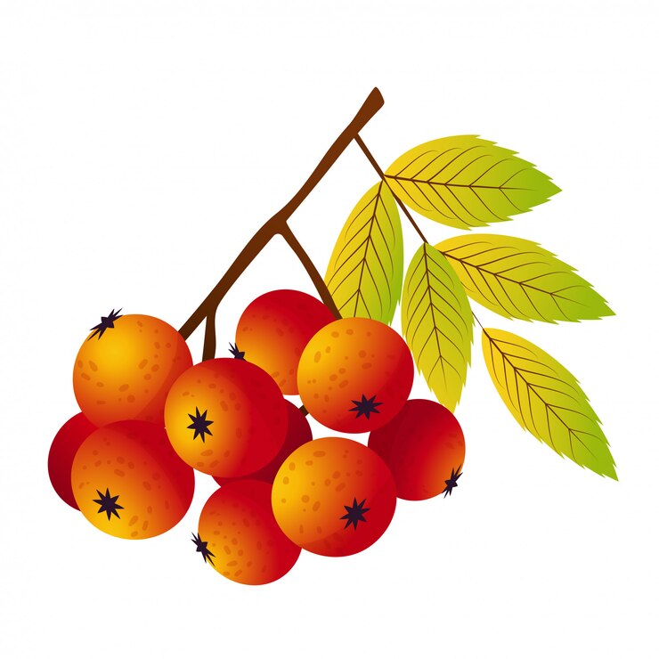 Vetor floresta rowan com ilustração de folhas