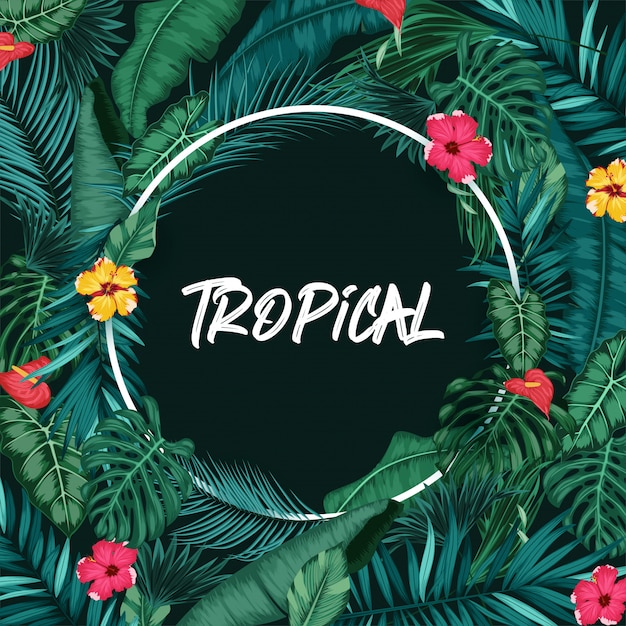 Floresta tropical com moldura redonda em fundo preto