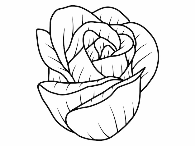 Flower Line Art