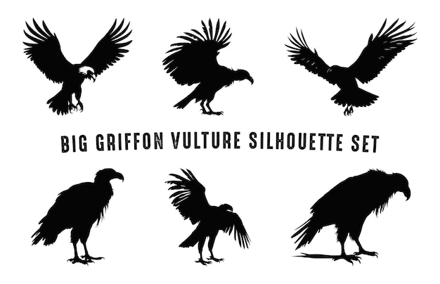 Vetor flying vulture beak silhuetas pretas set big griffon vulture silhouette vector bundle