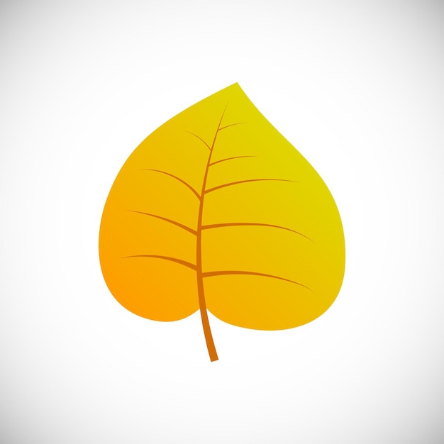 Vetor folha de álamo amarelo. folha de outono de uma árvore em um fundo branco. ilustração vetorial