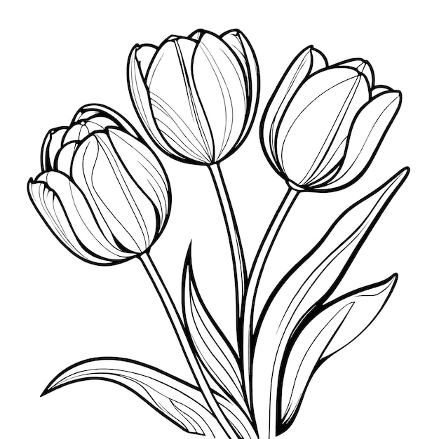 Folha de colorir digital de contorno de flor de tulipa para crianças e adultos