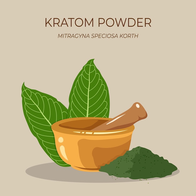 Folha de kratom mitragyna speciosa com pó de ervas medicinais e argamassa