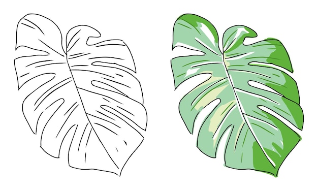 Vetor folha de monstera desenhada à mão para colorir para crianças