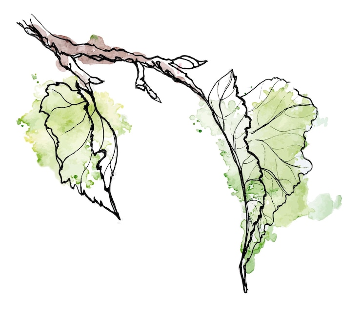 Vetor folha de outono desenhada à mão em aquarela e tinta