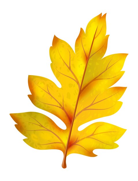 Vetor folha de outono realista de outono vermelha e rosa folhagem de madeira de bordo folhas caídas coloridas brilhantes árvore objeto de decoração isolado 3d elemento botânico isolado vetor ilustração botânica