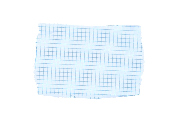 Folha de papel vetorial de escala de grade azul isolada no fundo branco