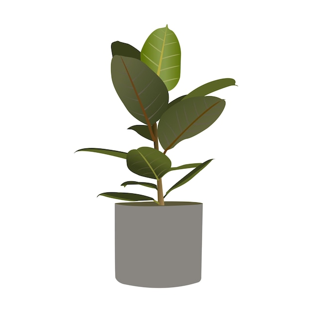 Folha de planta de interior Perfeita para papéis de parede páginas web fundos têxteis
