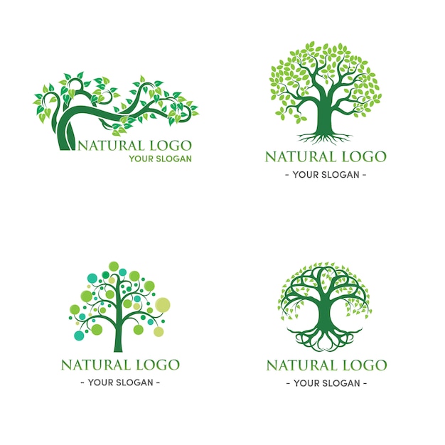 Folha natural e abstrata de design de logotipo de árvore verde