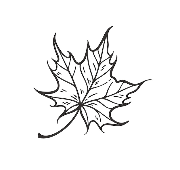 Folhas caindo ilustração vetorial contorno preto gráfico decorativo coleção de folhas de outono