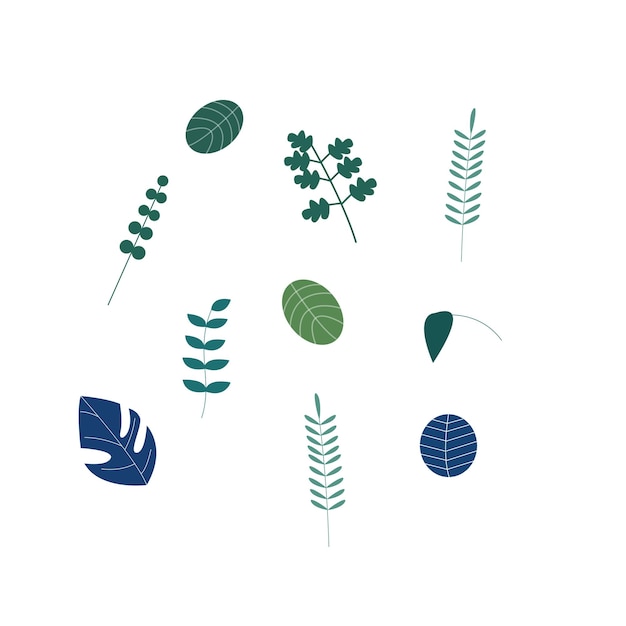 Folhas, conjunto de ilustrações planas de plantas, árvores, folhas