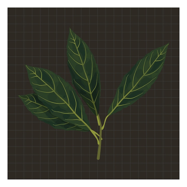 Folhas de árvores tropicais e galho Folhas verdes natureza ilustração vetorial