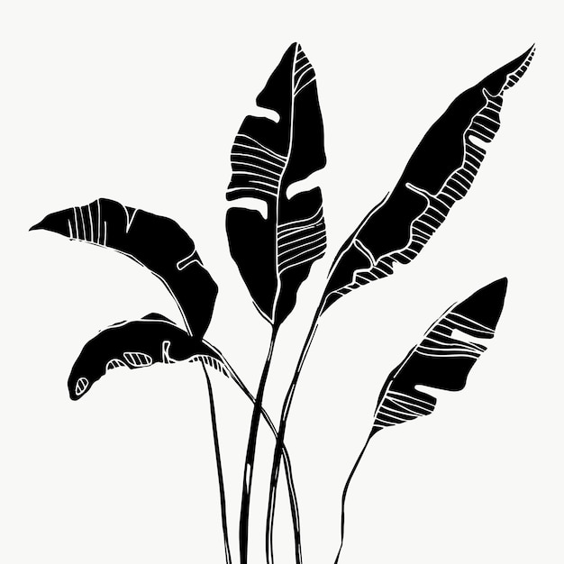 Folhas de bananeira da palmeira tropical. bela mão desenhada plantas exóticas em fundo branco. desenho vetorial.
