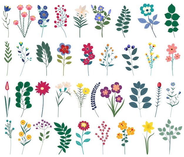 Folhas de flores definir vetor isolado de coleção de design plano