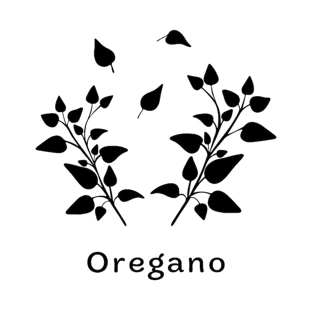 Folhas de orégano preto sobre fundo branco elementos botânicos minimalistas para cosméticos