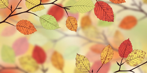 Folhas de outono em fundo desfocado, banner de vetor