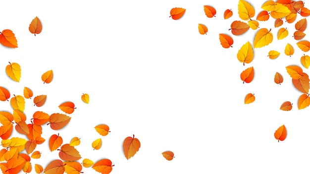 Folhas de outono sem costura banner horizontal isolada no modelo branco com folha dourada vetor outonal