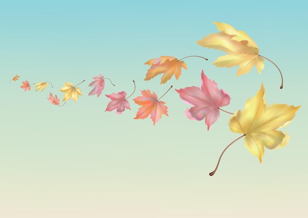 Folhas de outono voadoras
