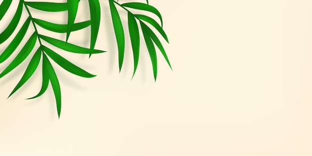 Vetor folhas de palmeira brilhantes sobrepostas folhagem com luz solar presentação com modelo de espaço de cópia planta realista folha de árvore tropical fundo bege ilustração vetorial