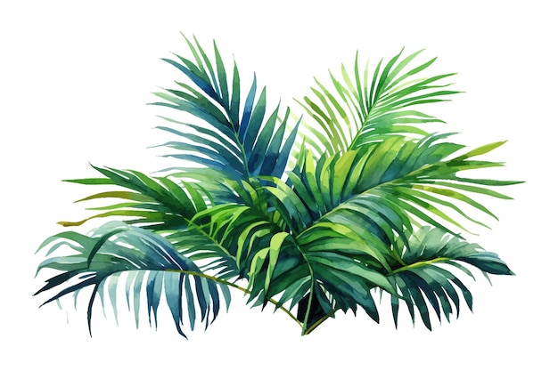 Folhas de palmeira coleção decorativa botânica da natureza Ilustração vetorial coleção isolada conjunto de folhas tropicais