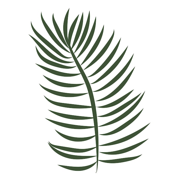 Folhas de palmeira desenhadas com linhas no estilo da arte linear isoladas em um fundo branco