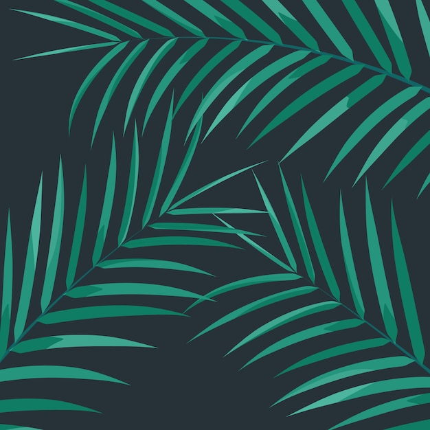 Folhas de palmeira exótica. folhas de palmeira em fundo branco. fundo exótico