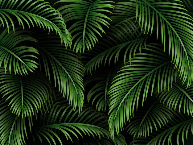 Folhas de palmeira tropical fundo exótico modelo verde escuro para saudações convite cosméticos ou produtos de spa cartões sazonais de verão vetor