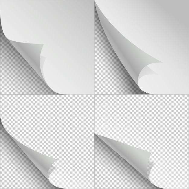 Folhas de papel em branco com ondulação de página e sombras