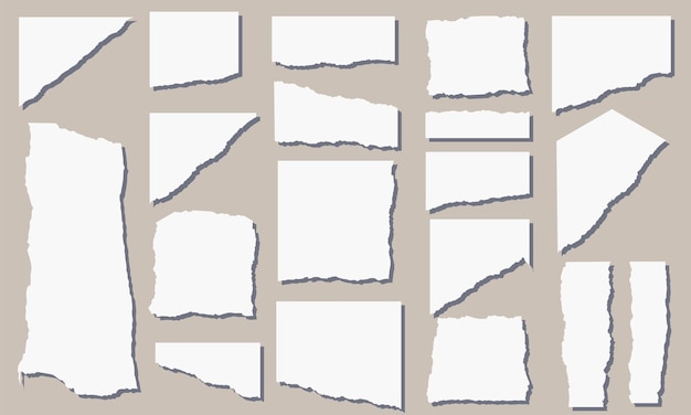 Folhas de papel rasgadas Conjunto de tiras de papel rasgadas
