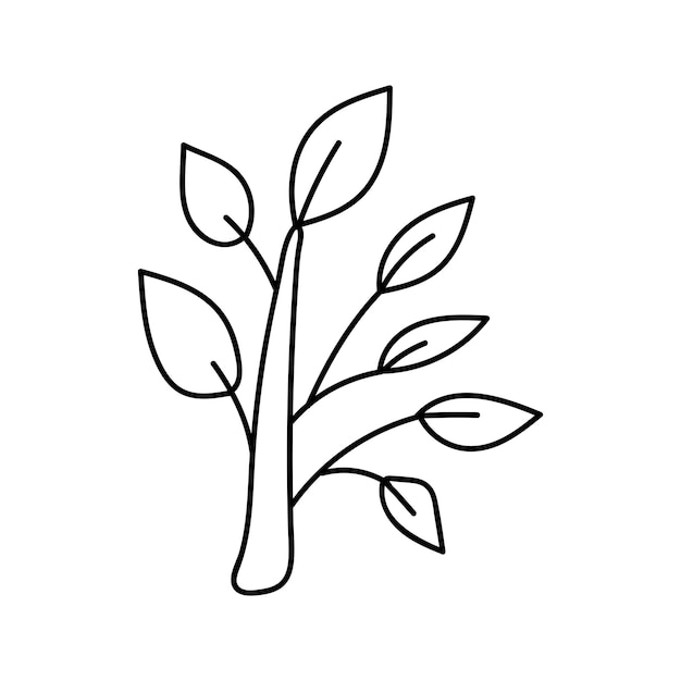 Folhas de planta em estilo doodle vetor em um fundo branco