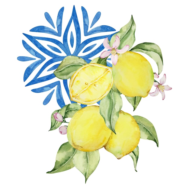 Vetor folhas e flores de limão suculento de composição aquosa