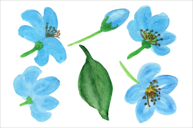 Folhas e flores do campo em azul. folhagem azul. ilustração em aquarela.