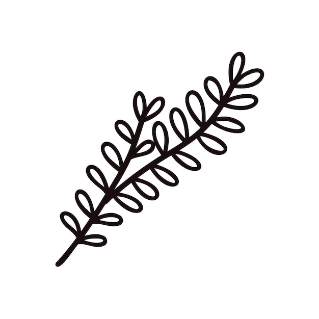Folhas e galhos desenhados à mão da vista superior em estilo doodle