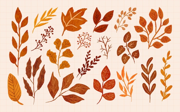Folhas e ramos de outono pintados à mão em conjunto de ilustração em aquarela